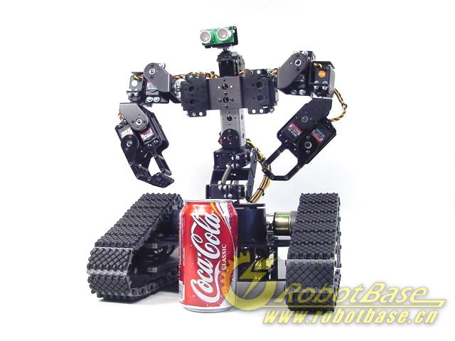 英文长度,选择附图类型等)进行编排组合,进而创